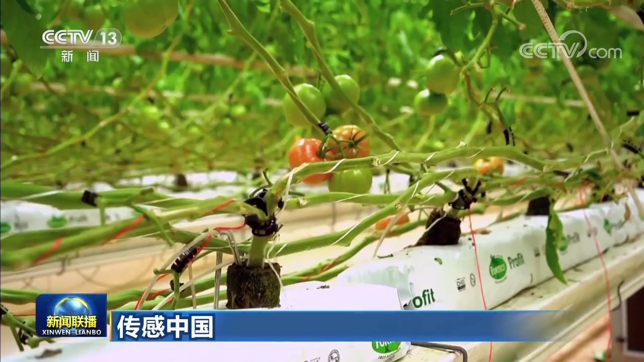 【传感中国】订制全新滋味(图2)