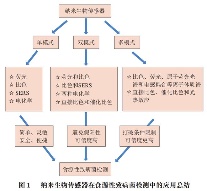 《食品科学》：渤海大学高雪副教授、励建荣教授等：纳米生物传感器在食源性致病菌检测中的应用研究进展(图2)