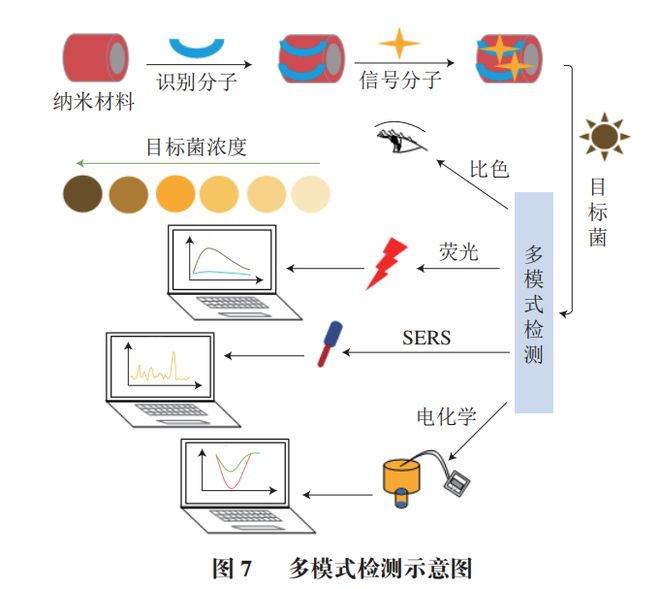 《食品科学》：渤海大学高雪副教授、励建荣教授等：纳米生物传感器在食源性致病菌检测中的应用研究进展(图10)