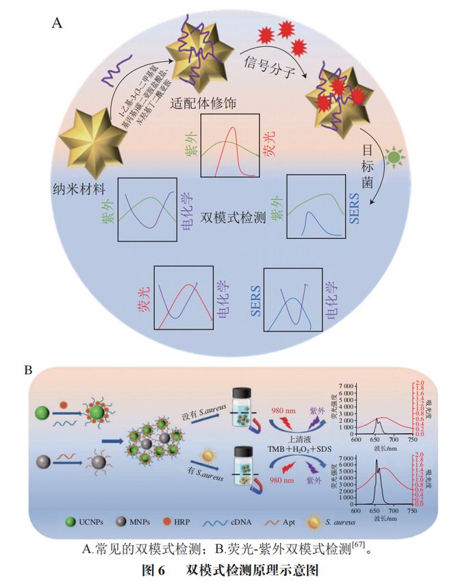 《食品科学》：渤海大学高雪副教授、励建荣教授等：纳米生物传感器在食源性致病菌检测中的应用研究进展(图9)