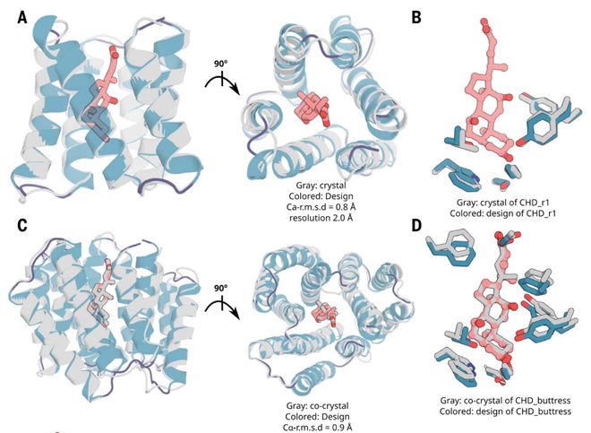 DavidBaker最新Science论文：AI从头设计蛋白用作生物传感器(图3)