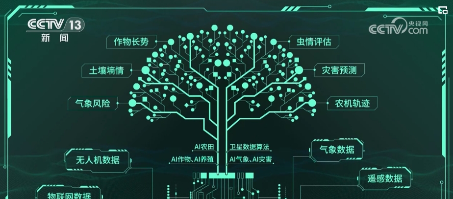 “种地种出成就感”！卫星巡田、远程田管农业生产焕发新活力(图3)