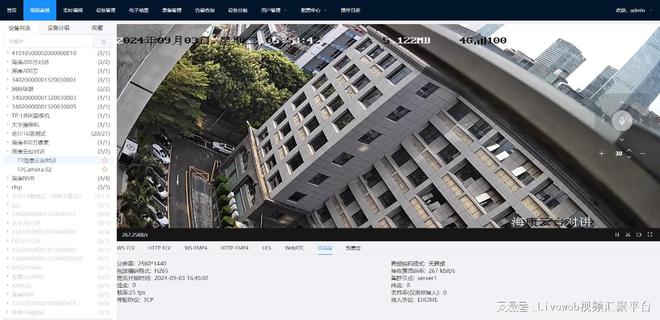 GB28181Ehome协议支持级联平台Liveweb搭建监控系统(图4)