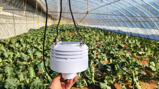传感器初探：定义、原理及其在医疗健康领域的革新(图3)