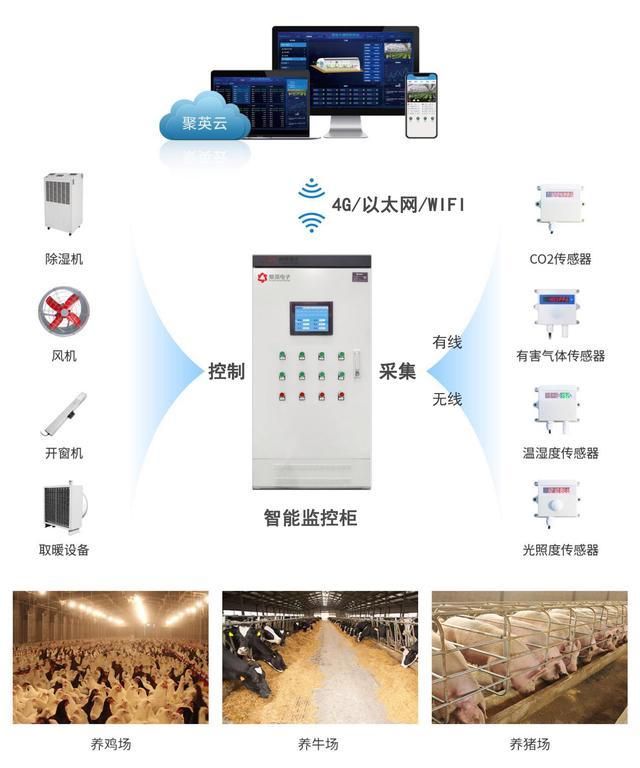 智能鸡舍环境控制系统精准管理提升养殖效率(图3)