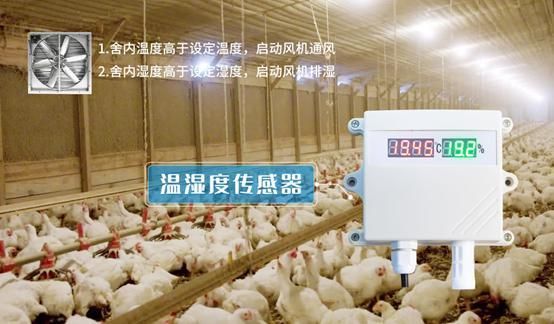 智能鸡舍环境控制系统精准管理提升养殖效率(图4)