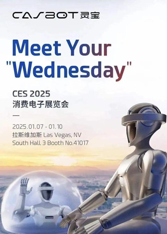 CES2025亮点：看中国教育科技企业如何「出圈」(图10)