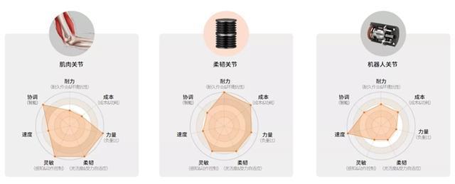 CES新物种（中）：类人肌体过人能力——通用软体机器人技术加速机器人普及应用的新引擎(图6)