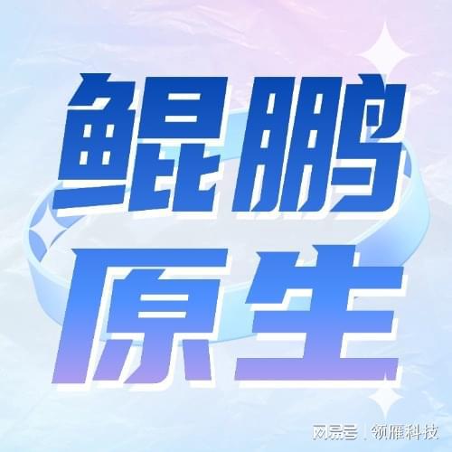 领雁科技携手鲲鹏原生开发让金融科技更安全更高效(图6)