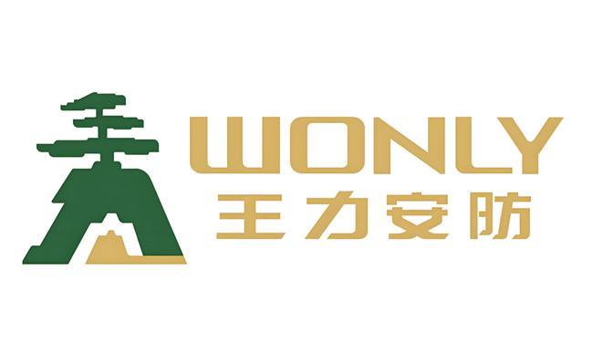 王力安防重构安全科技新边界！(图1)