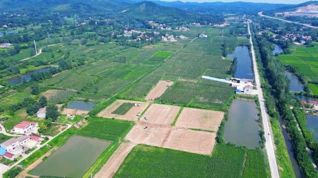 “营养餐”、温湿度传感器……奶牛的生活有多智能？(图1)