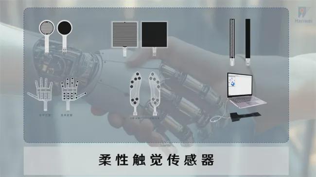 又一家企业押注“电子皮肤”！CTO有南开国大（NUS）双博士背景(图8)