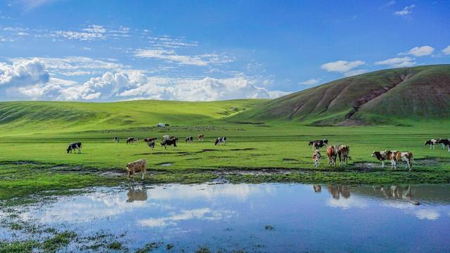 机器人传感器国产替代加速这些上市公司手握稀缺技术(图6)
