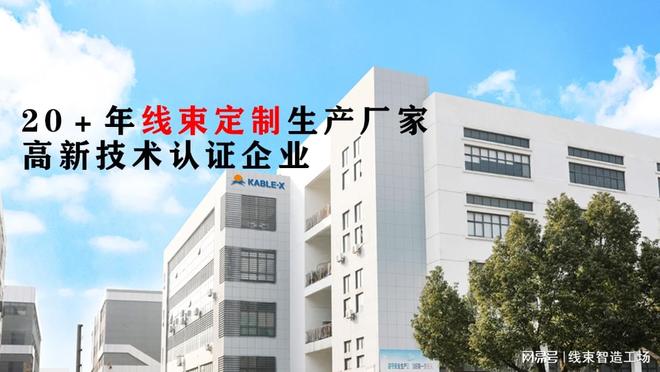 传感器数据总不准?5家实力线束厂家推荐凯佰乐信号稳、耐候强(图2)