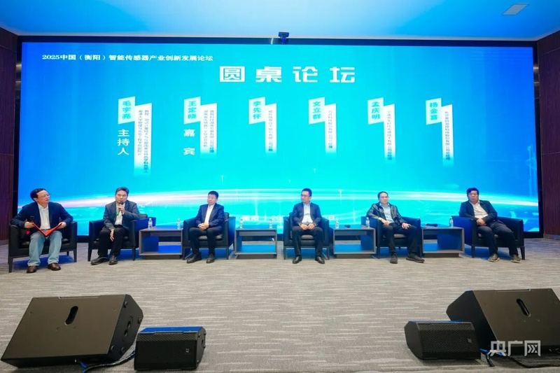 汇聚传感力量赋能新质未来2025中国（衡阳）智能传感器产业创新发展论坛举办(图3)