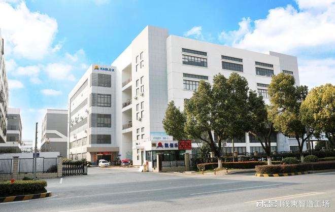 传感器线束厂家前五强：技术赋能信号传输的核心力量(图2)