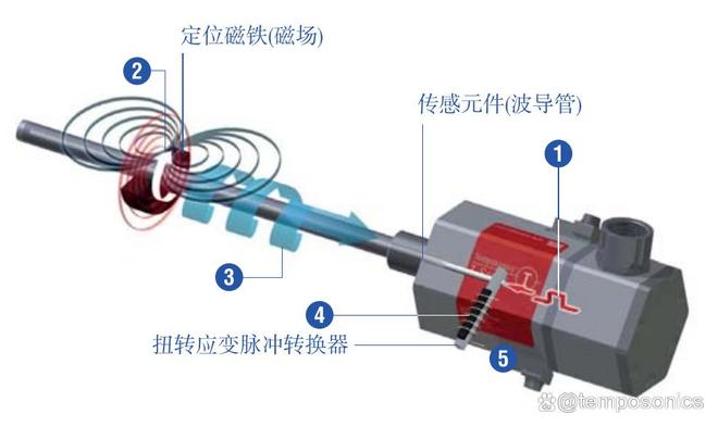TemposonicsTH磁致伸缩位移传感器IP68IP69防护等级升级(图2)