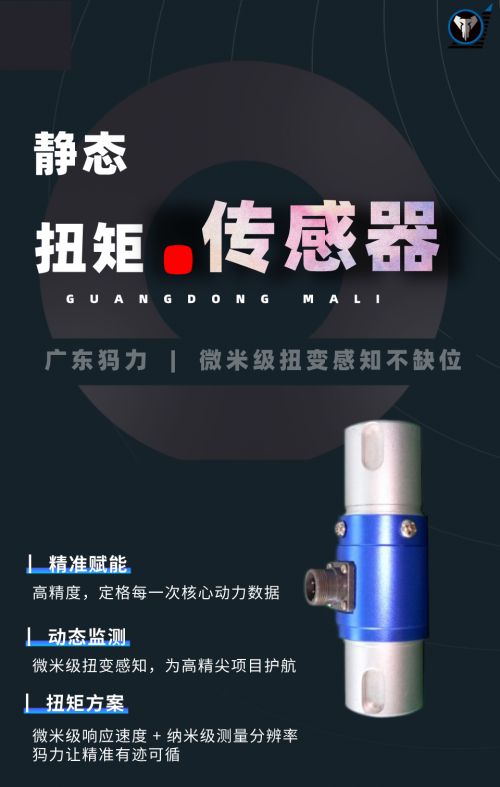 犸力扭矩传感器：亚微米级精度定义工业测量新基准(图2)