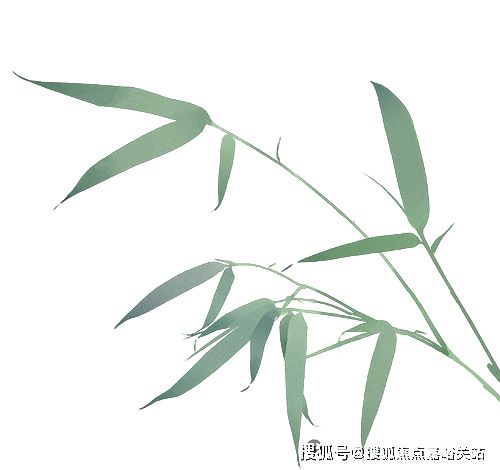 恒文璞悦江南售楼处：青浦朱家角低密至选125容积率享静谧(图3)