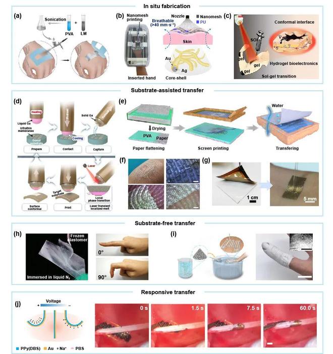 极端制造微纳结构金属电极：从柔性电极迈向超薄软表皮的进展(图6)