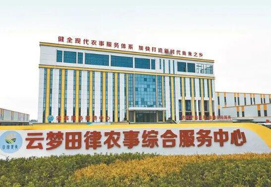 不慌不忙种好粮云梦农事有“妙方”！(图2)