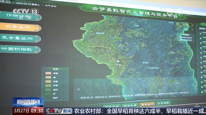 不慌不忙种好粮云梦农事有“妙方”！(图5)