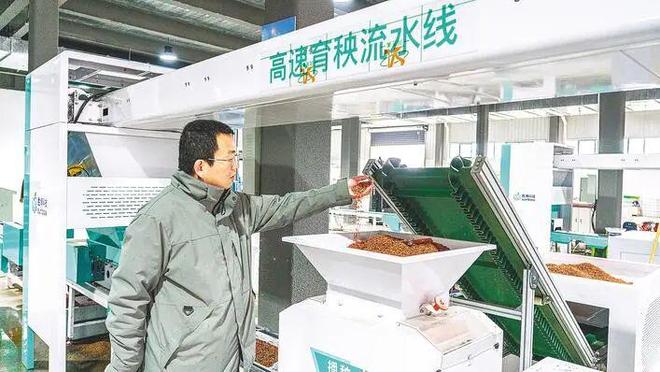 不慌不忙种好粮云梦农事有“妙方”！(图6)