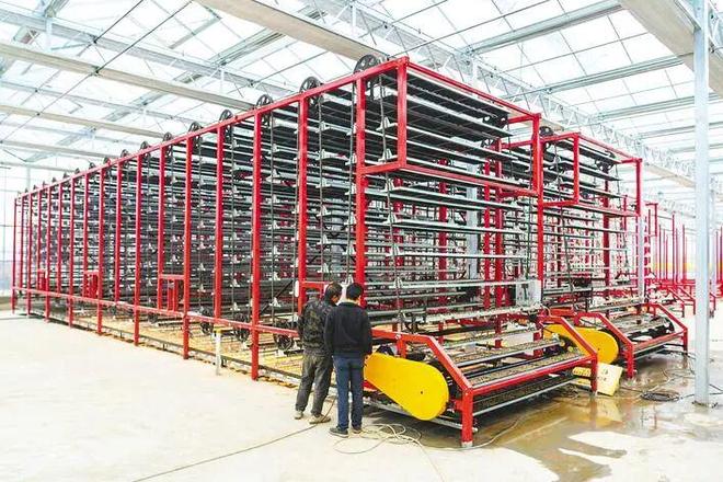 不慌不忙种好粮云梦农事有“妙方”！(图7)