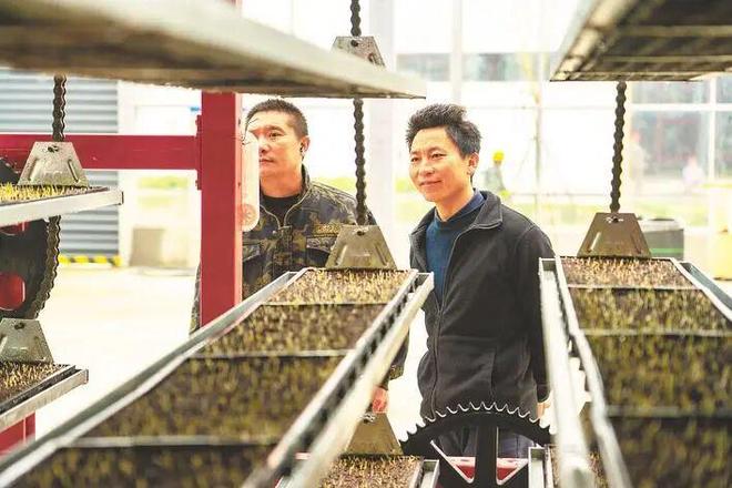 不慌不忙种好粮云梦农事有“妙方”！(图11)